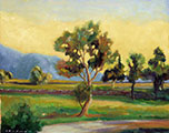 Olive Orchard, oil, 16x20 (40x50 cm)